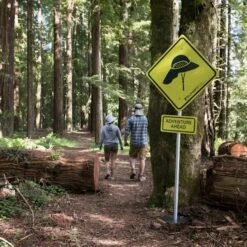 Front Page -hat adventure ahead unisex ss17 3000px